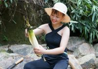 Picking Bamboo Shoots In The Forest, How To Make Dry Bamboo Shoots | Moon