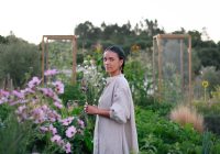 #13 Summer Routines Living OFF GRID in my Cottage Garden