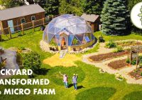 Couple Growing Food *Year Round* in a Backyard Permaculture Micro Farm with Geodesic Dome Greenhouse