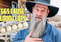 Eggs Cause BLOOD CLOTS?!? Banning Backyard Chickens...