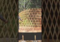 I BUILT A YURT OFF GRID in the FOREST - part 1 #offgrid #youtubeshorts #alone #diy
