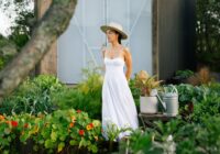 YEAR TWO: Living Off Grid & Growing a Vegetable Garden
