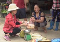 Go to the market to sell jackfruit and glutinous corn, earn money to buy piglets.