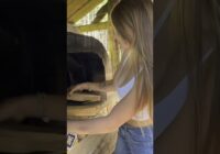 How I MAKE BREAD - Off the Grid - Chopping Wood for Brick Oven #youtubeshorts #offgrid #alone #food