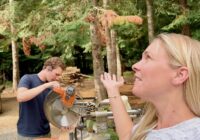 Why Did It Have To Turn Out Like That?