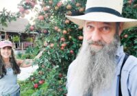 Pretty soon they will Outlaw this tree! Here is why...