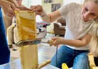 $350 Harvesting Honey: The Sweetest Side Hustle Ever! 🐝💵