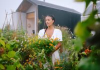 First Weeks in My Cabins in Portugal