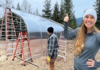 WINTER STORM WARNING! We Have to Get this Done - Greenhouse Build 3