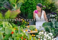 YEAR 3 OFF GRID | Cooking with What My Garden Gives Me | Countryside Life