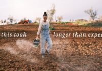 This is how I'm transforming 1 acre of abandoned land (Year 3)