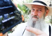 "NO KNOCK WARRANTS" on SCHOOL KIDS and FAMILIES?!?