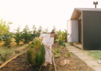 Spring in My Portugueses Homestead