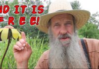 This ONE THING could improve your HEALTH! You might be surprised....