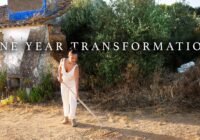 I Transformed Abandoned Land Under $10k into Dream Home -  You Won’t Believe the Results!