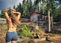 HUGE Log Cabin CHICKEN COOP - My Cherries are LOADED & Wild Berry HEAVEN | BEST BACKYARD HEN HOUSE