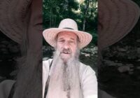 A I fake Stream in Live Show and AIRSTREAM failure!