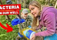 We Had to BLEACH Our Well Water | Iron Bacteria Fix