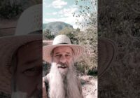 It's a setup!! DON'T BE FOOLED..