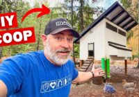 Our Favorite Backyard Chicken Coop Design After Years of Use