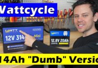 NEW! Wattcycle "Dumb" 314Ah LiFePO4 (and 20Ah fast teardown!)