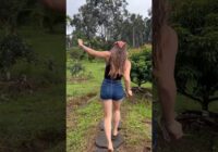 Tropical storm, pruning sugarcane, eating it raw, and juicing it!  🏝️🌾🌴 #food #outdoors #cooking