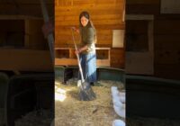 Come with me to check out my homemade compost!