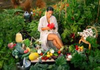 4 YEARS OFF GRID | Everything I did to Transform Abandoned Land & Vegetable Cottage Garden